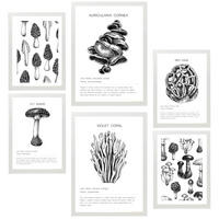 POSTER Set Mit 6 Schwarz Weiße Pilzkomposition A3 & A4 Weißer Rahmen - Weiß, Papier (29/3cm) - Nacnic