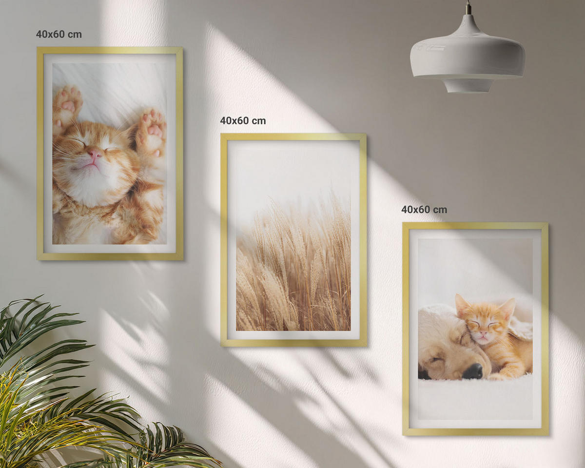 BILDER SET 3er Set - 40x60 cm Goldrahmen - Niedliche Tiere, Katzen, Hunde, Boho-Stil - Goldfarben, Kunststoff (40/60cm) - TULUP