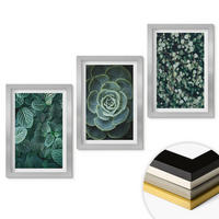 WANDBILDER 3er Set - 20x30 cm Silberner Rahmen - Sukkulenten - Silberfarben, Kunststoff (20/30cm) - ArtPrintCave