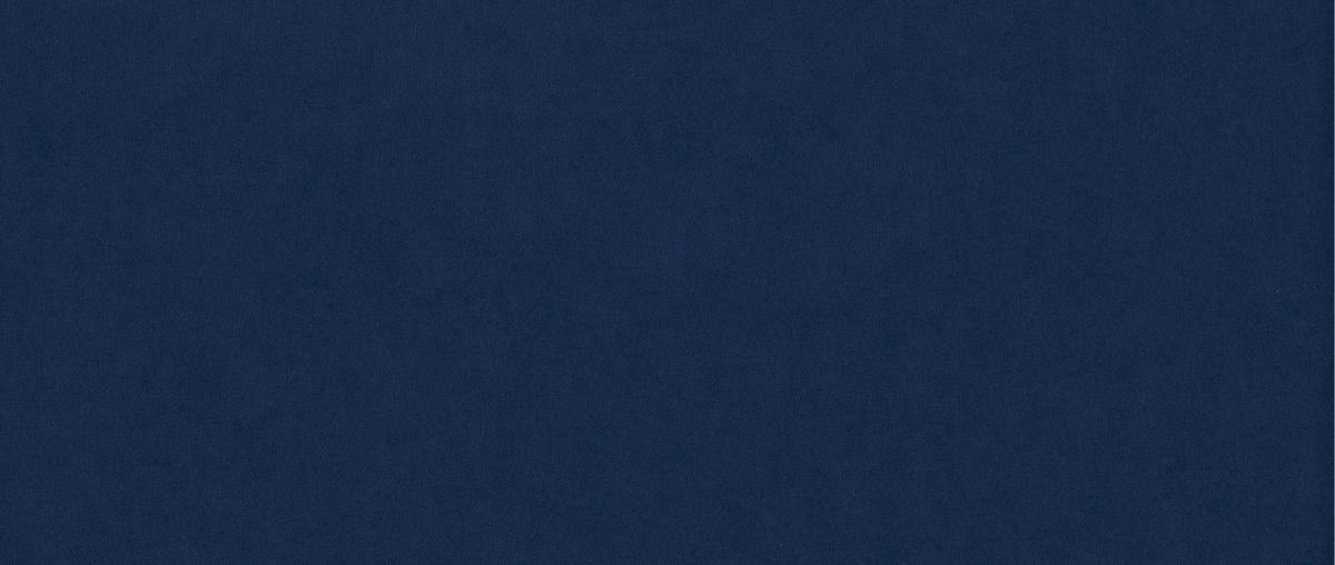 BOXBETT CHESTER 120 x 200 Dunkelblau - Dunkelblau, Textil/Metall (120/200cm) - VLR BEDS
