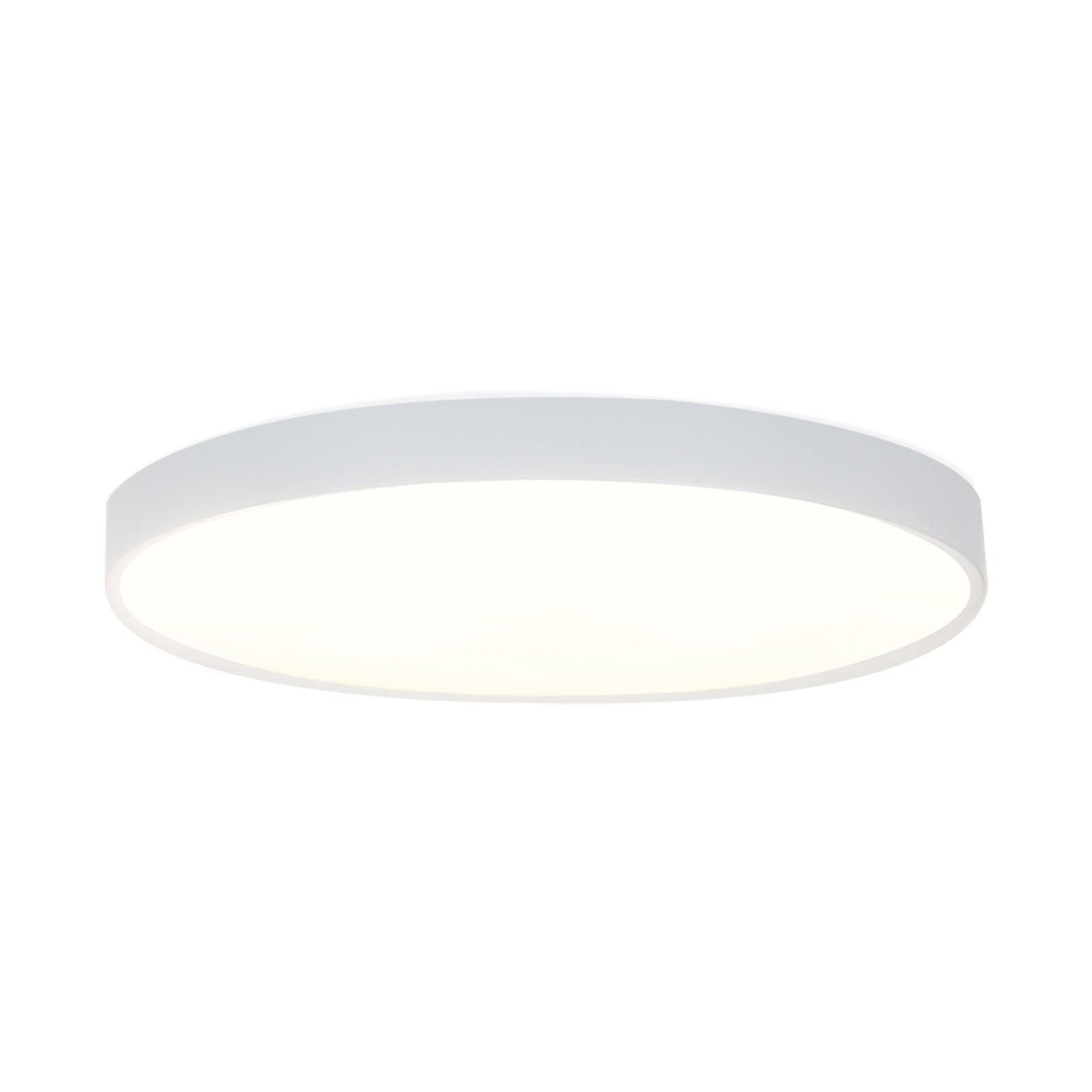 Nettlife LED stropní svítidlo Williams 37/37/6,5