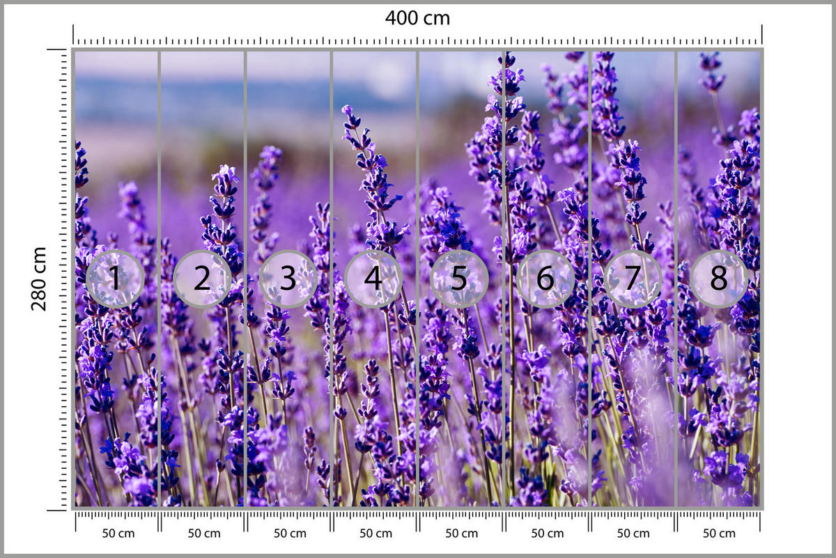 FOTOTAPETE für Schlafzimmer Lavendelfeld Blüten Provence 400x280 - Violett, Papier (400/280cm) - Muralo