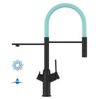 4-WEGE-KÜCHENARMATUR, Schwarz Matt und Türkis, 2-Strahl-Brause - Schwarz, Metall (20.61/48/20.61cm) - VIZIO