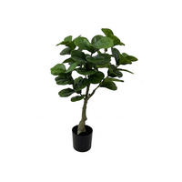DEKOPFLANZE Ficus 45/45/72 cm - Grün, Kunststoff (72cm) - Present Time