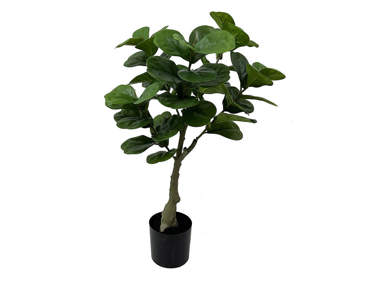 DEKOPFLANZE Ficus 45/45/72 cm - Grün, Kunststoff (72cm) - Present Time
