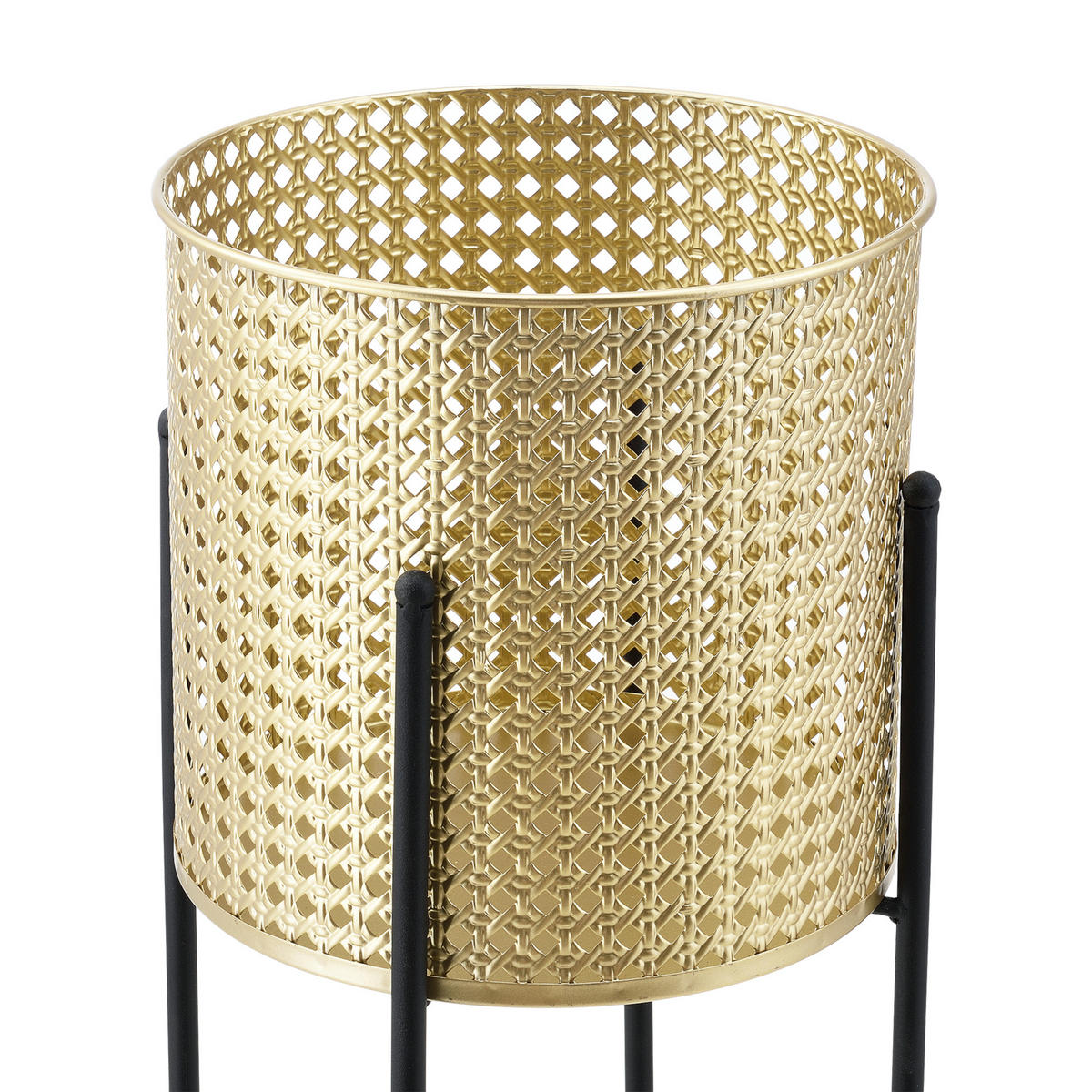 SADA STOJANŮ NA ROSTLINY 2 KS. Mol - černá/zlatá, kov (24/70/24cm) - [en.casa]