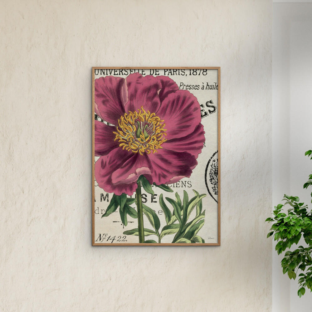 POSTER mit Rahmen Wild Apple - Global - Pink/Eichefarben, Holz/Papier (30/40cm) - Poster&Frame