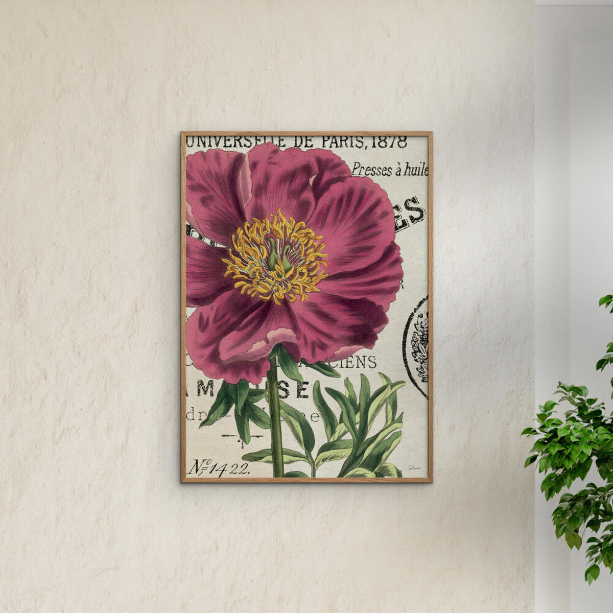 POSTER mit Rahmen Wild Apple - Global - Pink/Eichefarben, Holz/Papier (30/40cm) - Poster&Frame