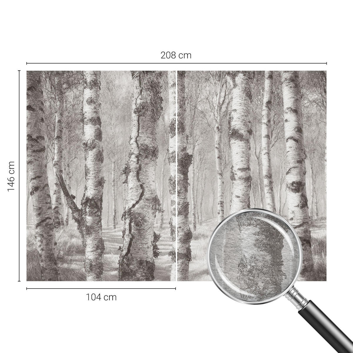 FOTOTAPETE 208x146 cm - Birkenwald - Schwarz, Textil (208/146cm) - Wallfluent