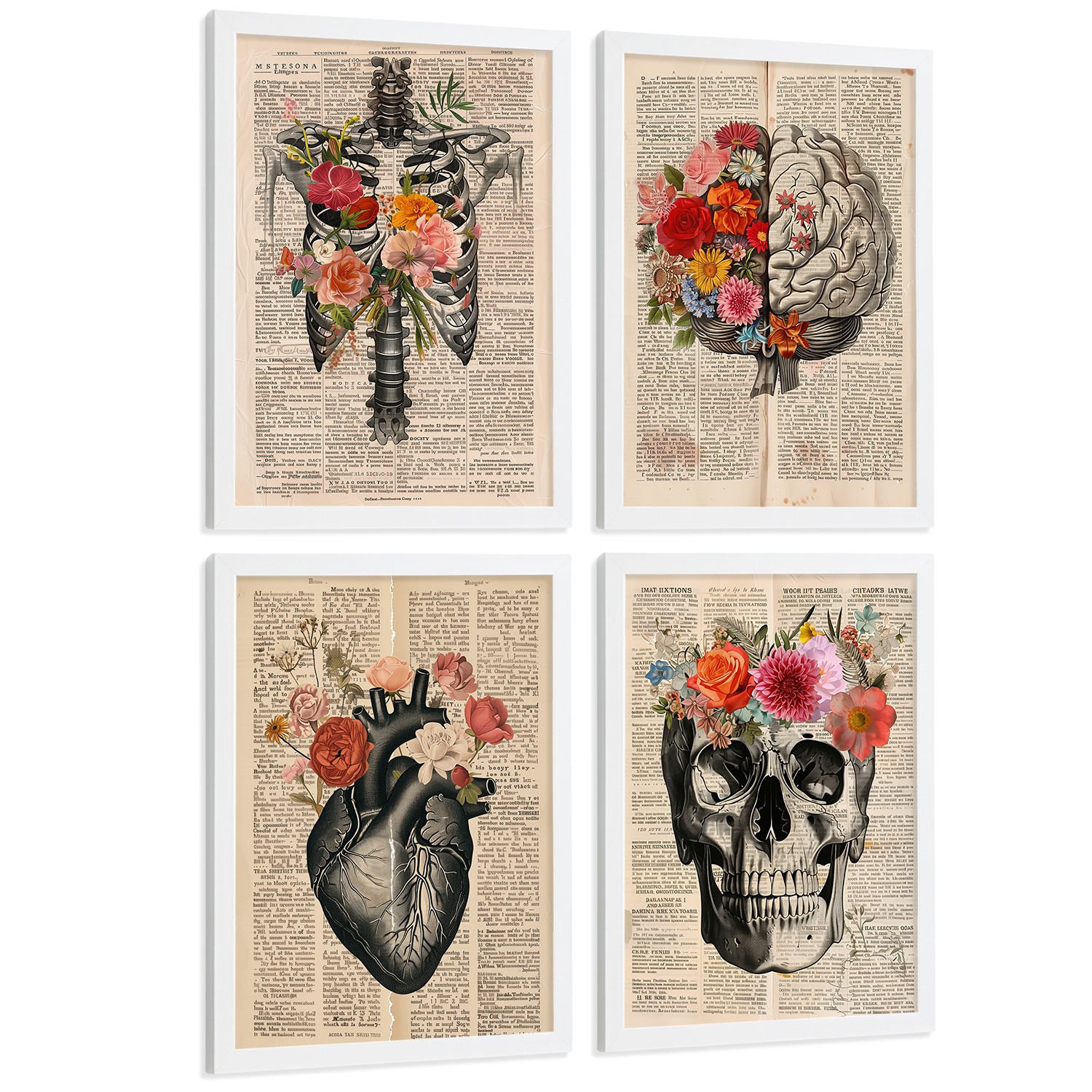 POSTER Set aus 4 Vintage Anatomie Drucke und Wandbilder mit Herz Schädel Skelett und Gehirn Collage Stil Wanddekoration Größe Weißer Rahmen A4 - Weiß, Papier (21/29.7/3cm) - Nacnic