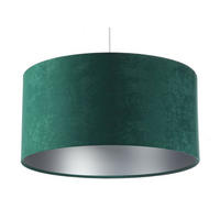 HÄNGELEUCHTE Grün 30/20 cm - Silberfarben/Grün, Kunststoff (30/0.45/20cm) - ONZENO