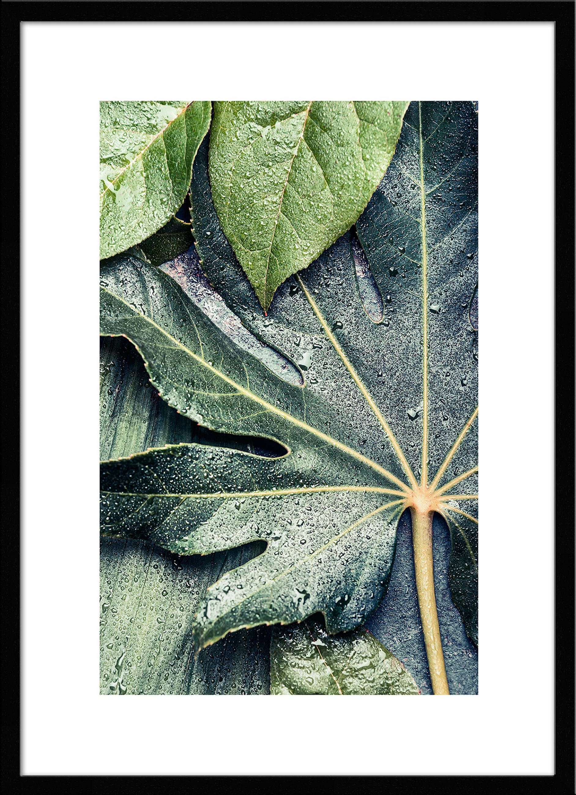 POSTER mit Rahmen 50x70 cm Tropische Blätter Grün - Grün, Holz (51/71cm) - artissimo