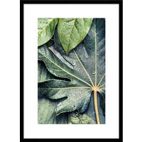 POSTER mit Rahmen 50x70 cm Tropische Blätter Grün - Grün, Holz (51/71cm) - artissimo