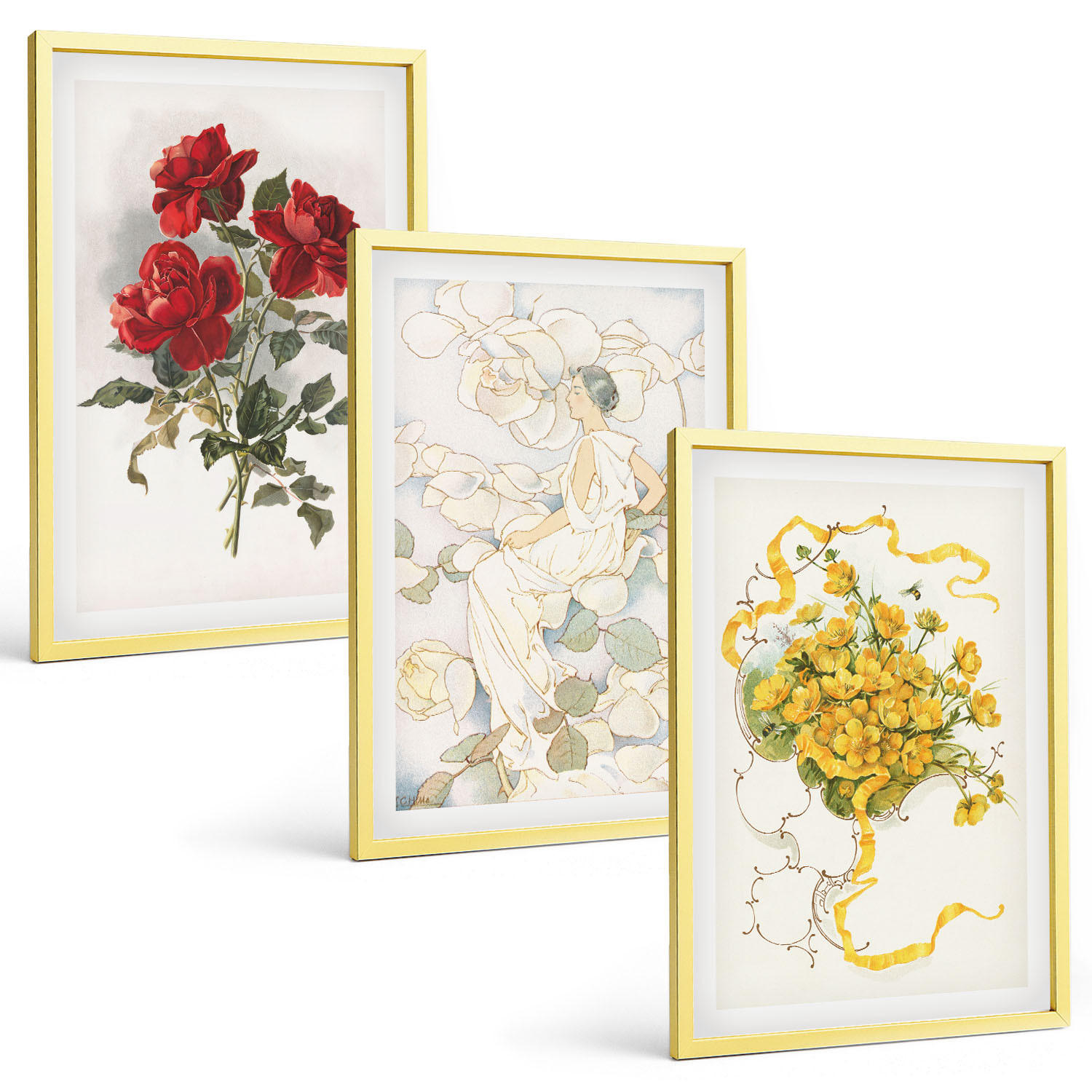 BILDER SET 3er Set - 40x60 cm Goldrahmen - Rosen rot-weiße Form - Goldfarben, Kunststoff (40/60cm) - TULUP