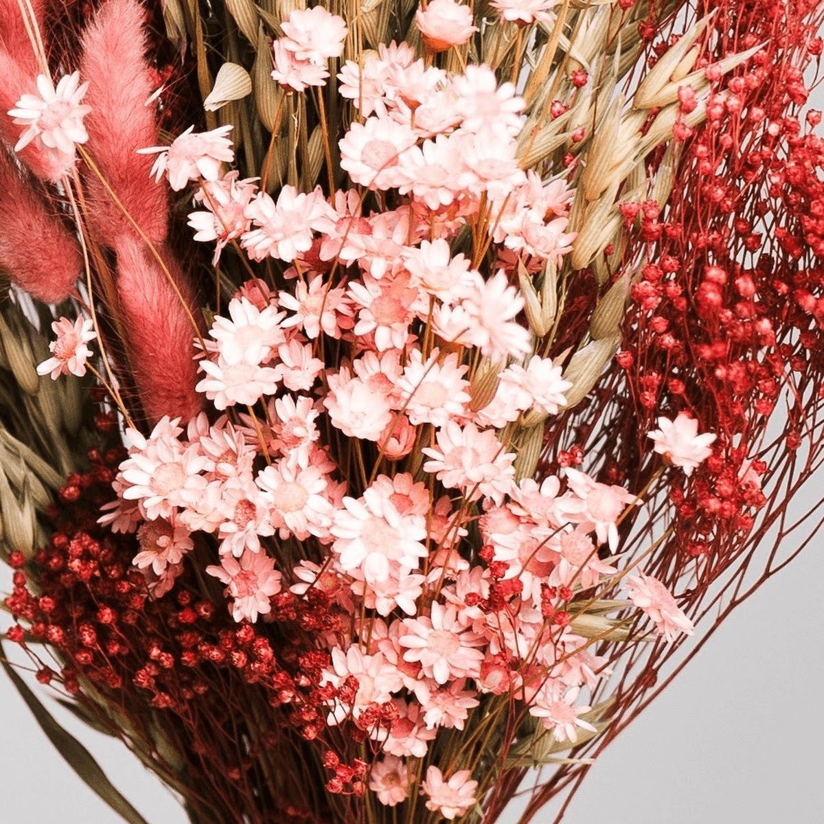 TROCKENBLUMEN Strauß Ein Hauch von Rosa - Rosa, Naturmaterialien (50cm) - Lykke & You