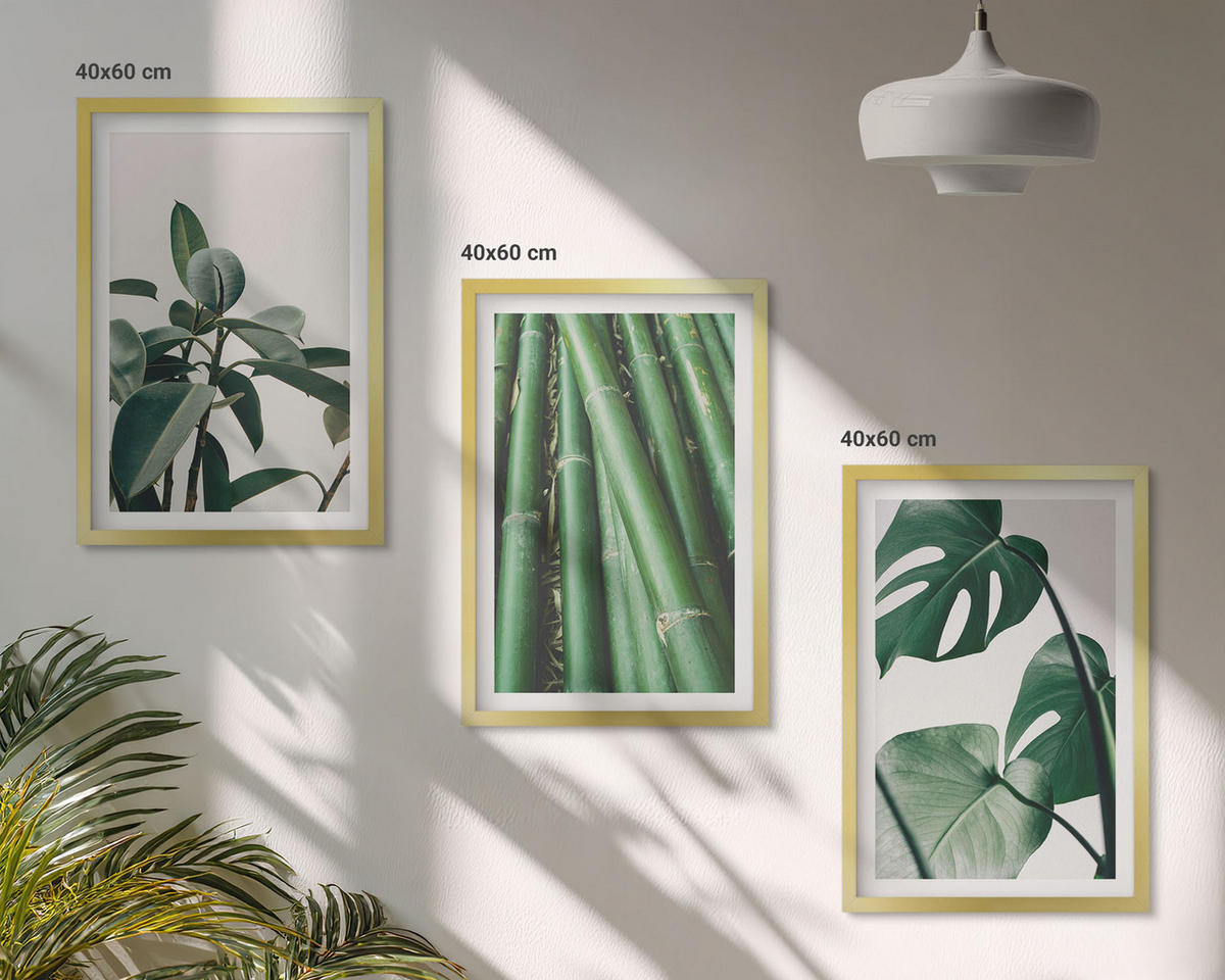 BILDER SET 3er Set - 40x60 cm Goldrahmen - Bambusstängel und Monstera-Blätter - Goldfarben, Kunststoff (40/60cm) - TULUP