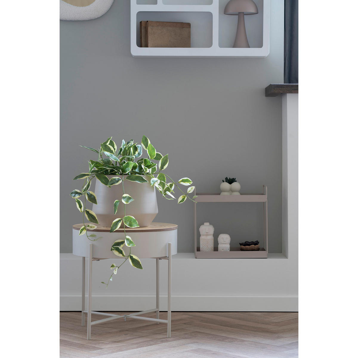 HOYA Carnosa PE-Kunststoff Grün - Grün, Kunststoff (33cm) - tinkaro