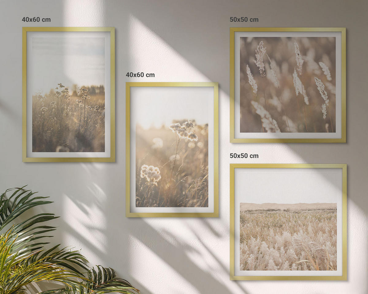 BILDER SET 4er Set - 50x50 cm & 40x60 cm Goldrahmen - Landschaftsgrasblumen Wärme - Goldfarben, Kunststoff (50/50cm) - TULUP