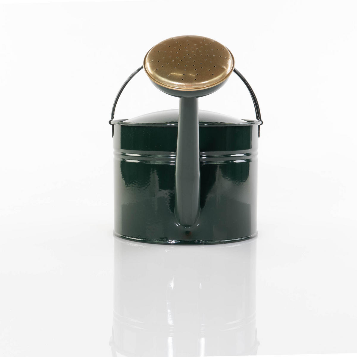 GIESSKANNE Gisela 5 l - Grün, Metall (20/26/46cm)