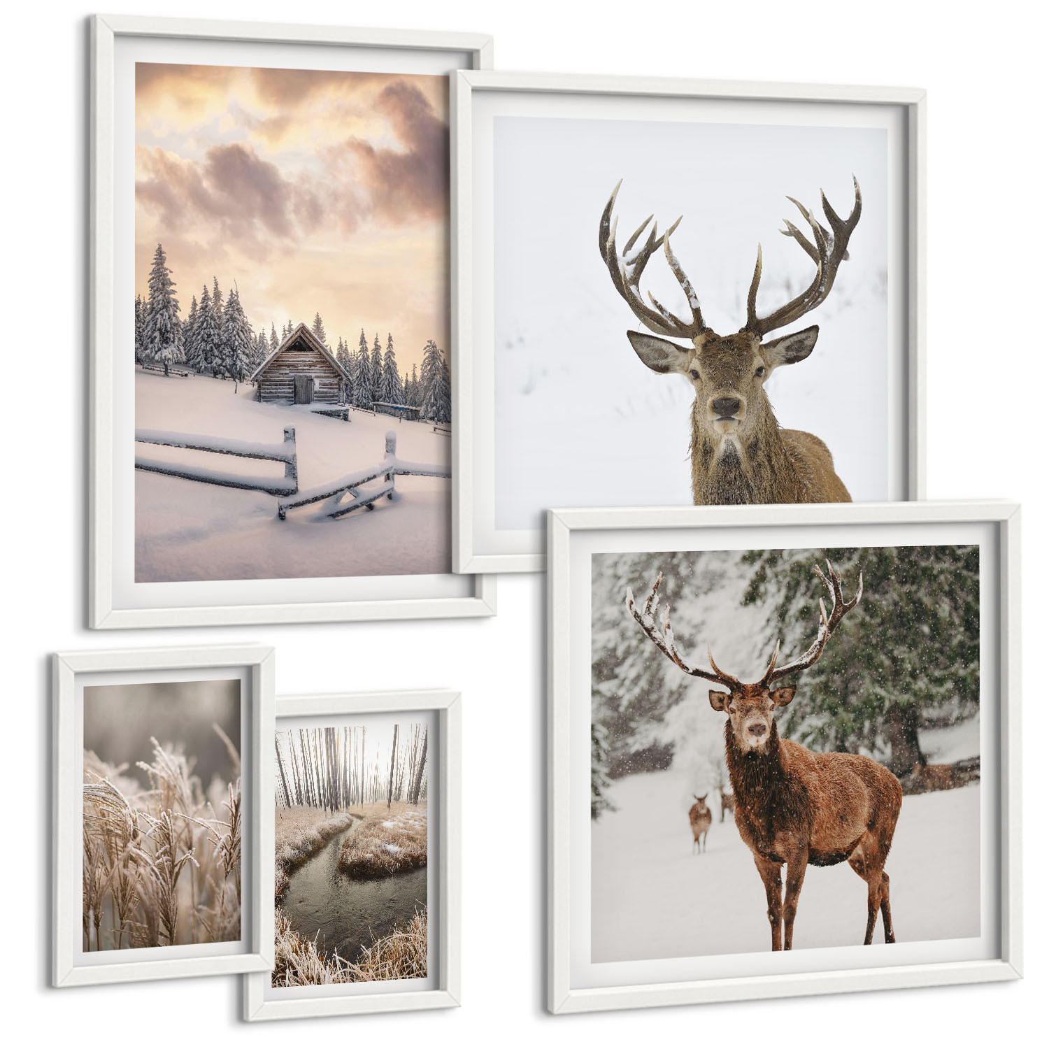 BILDER SET 5er Set - 50x50 cm & 20x30 cm & 40x60 cm Weißer Rahmen - Winterlandschaft mit Hirschen - Weiß, Kunststoff (40/60cm) - TULUP