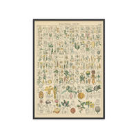 POSTER mit Rahmen Wild Apple - Flora Chart I - Schwarz/Grün, Holz/Papier (50/70cm) - Poster&Frame