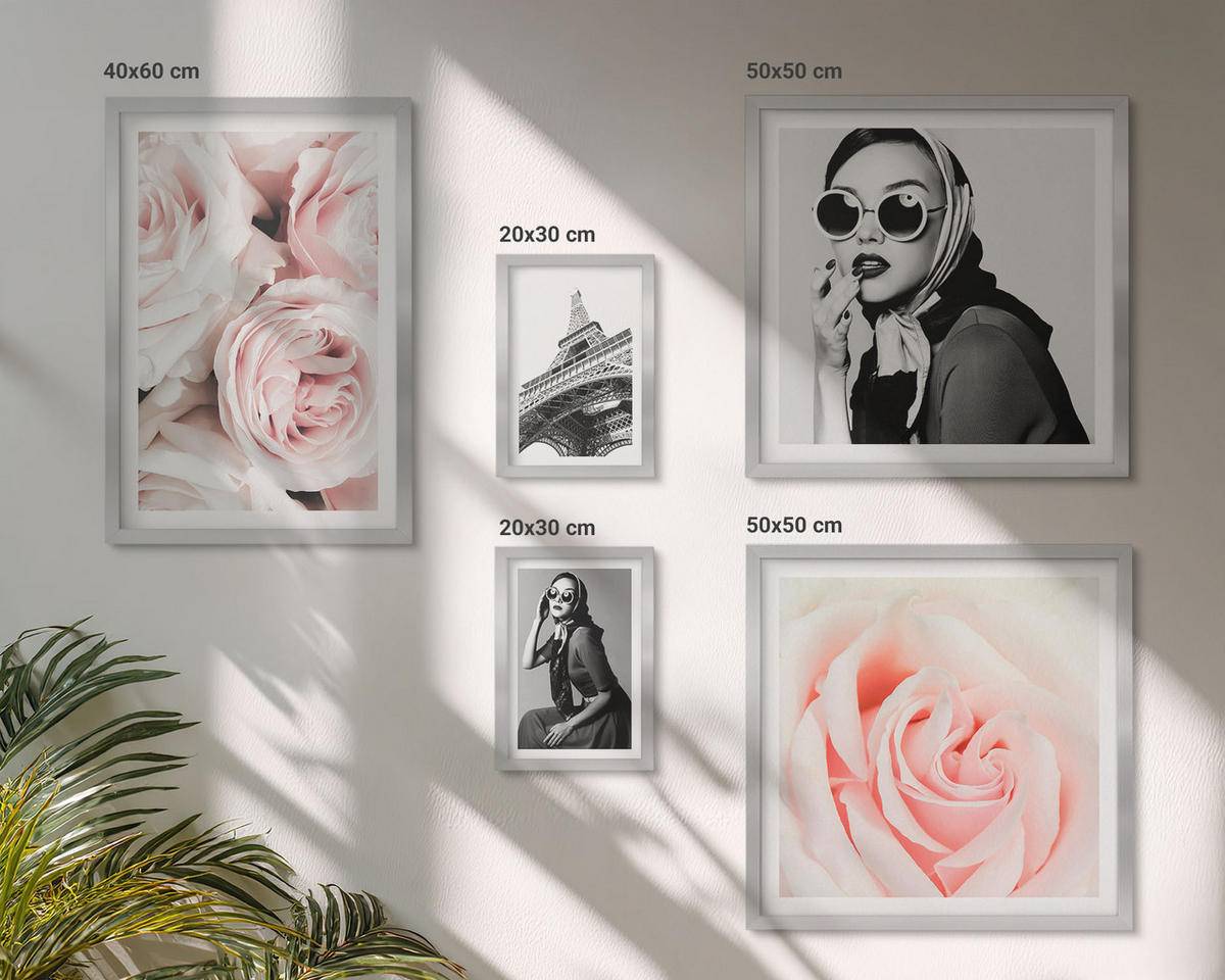 WANDBILDER 5er Set - 50x50 cm & 20x30 cm & 40x60 cm Silberner Rahmen - Blumen, Pfingstrosen, Rosen, Eleganz - Silberfarben, Kunststoff (40/60cm) - ArtPrintCave