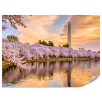 FOTOTAPETE Blühende Kirschbäume Fluss Natur Frühling Sonnenuntergang 400x280 - Blau/Gelb, Papier (400/280cm) - Muralo