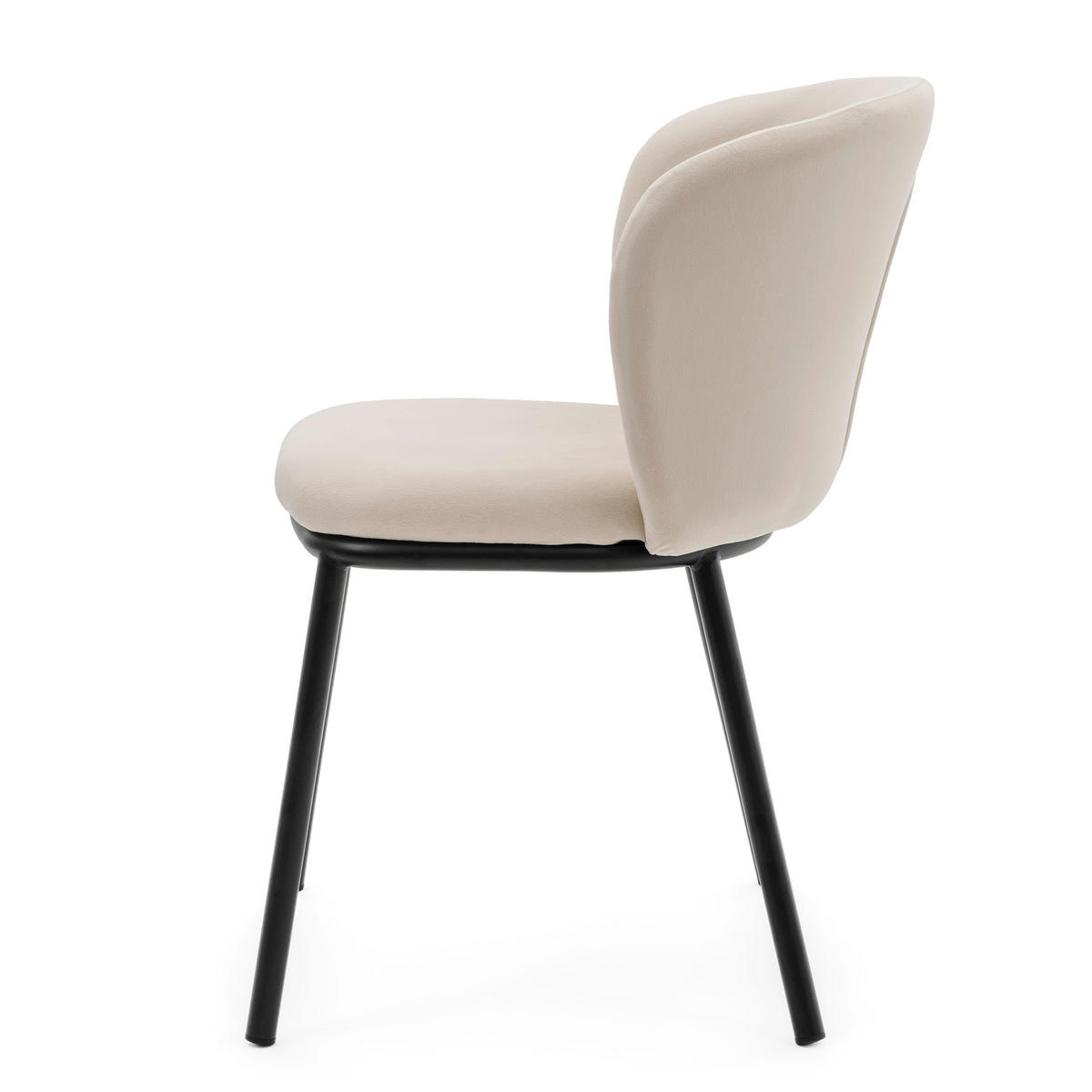 STUHL BARI gepolsterter mit Steppung - beige - Samt Velour - Beige/Schwarz, Textil/Metall (54/81/57cm) - NEW HOME