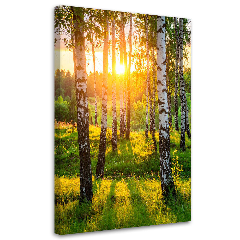 LEINWANDBILD Birken Bäume Sonnenuntergang 70x100cm - Grün, Textil (70/100cm) - Feeby
