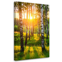 LEINWANDBILD Birken Bäume Sonnenuntergang 70x100cm - Grün, Textil (70/100cm) - Feeby