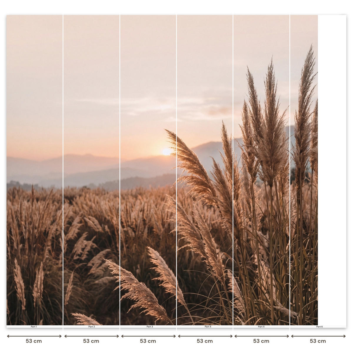TAPETE - Gras - Feld - Sonne - Natur - 280x280 cm - Sandfarben, Papier (280/280cm) - OnlyWow