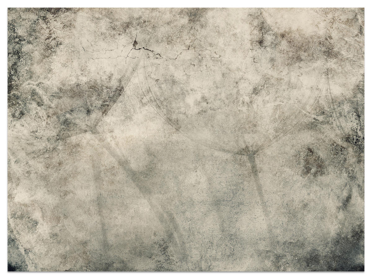 FOTOTAPETE für Wohnzimmer Löwenzahnsamen Beton Abstraktion Retro 250x175 - Beige/Braun, Papier (250/175cm) - Muralo