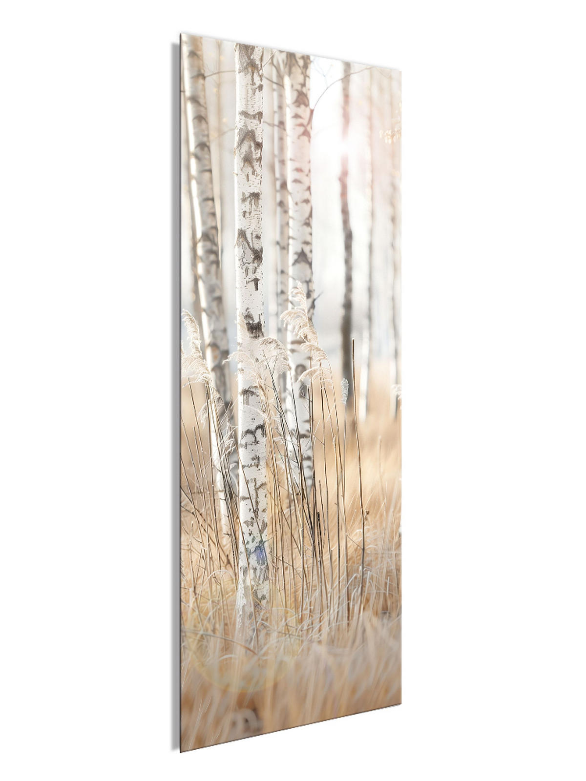 GLASBILD 30x80 cm Wald beige weiß - Beige, Glas (30/80cm) - artissimo