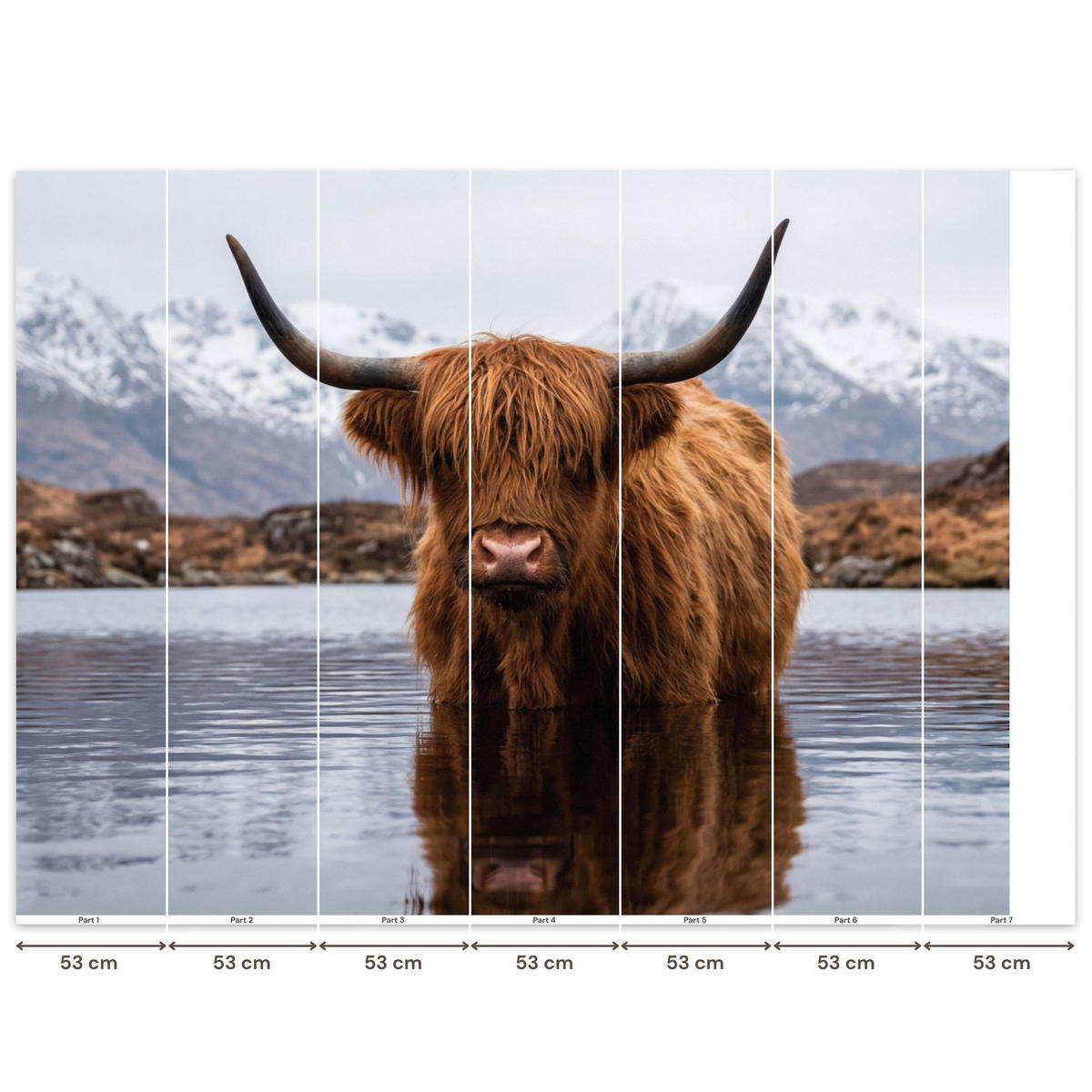 TAPETE - Schottischer Hochländer - Braun - Wasser - 350x260 cm - Braun, Papier (350/260cm) - OnlyWow