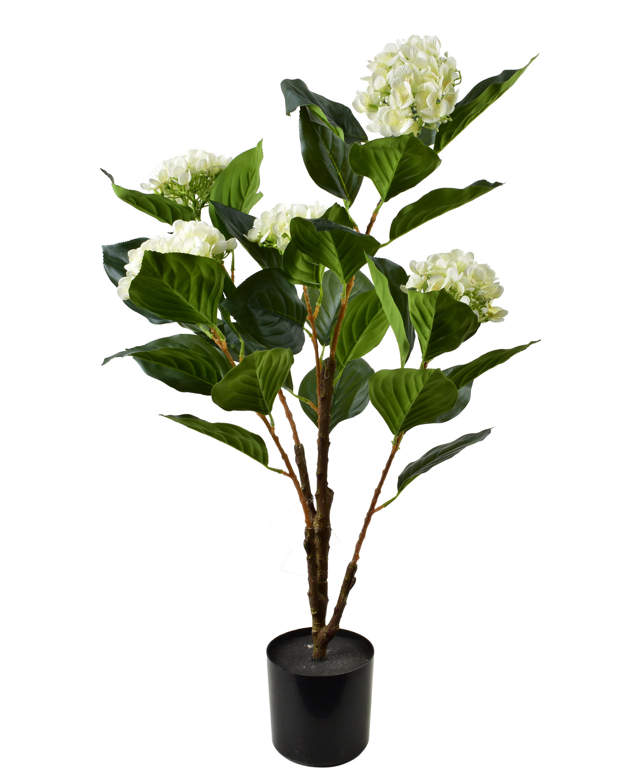 ZRCADLO, sklo, zlatá - zelená barva, plast (80cm) - Mondex
