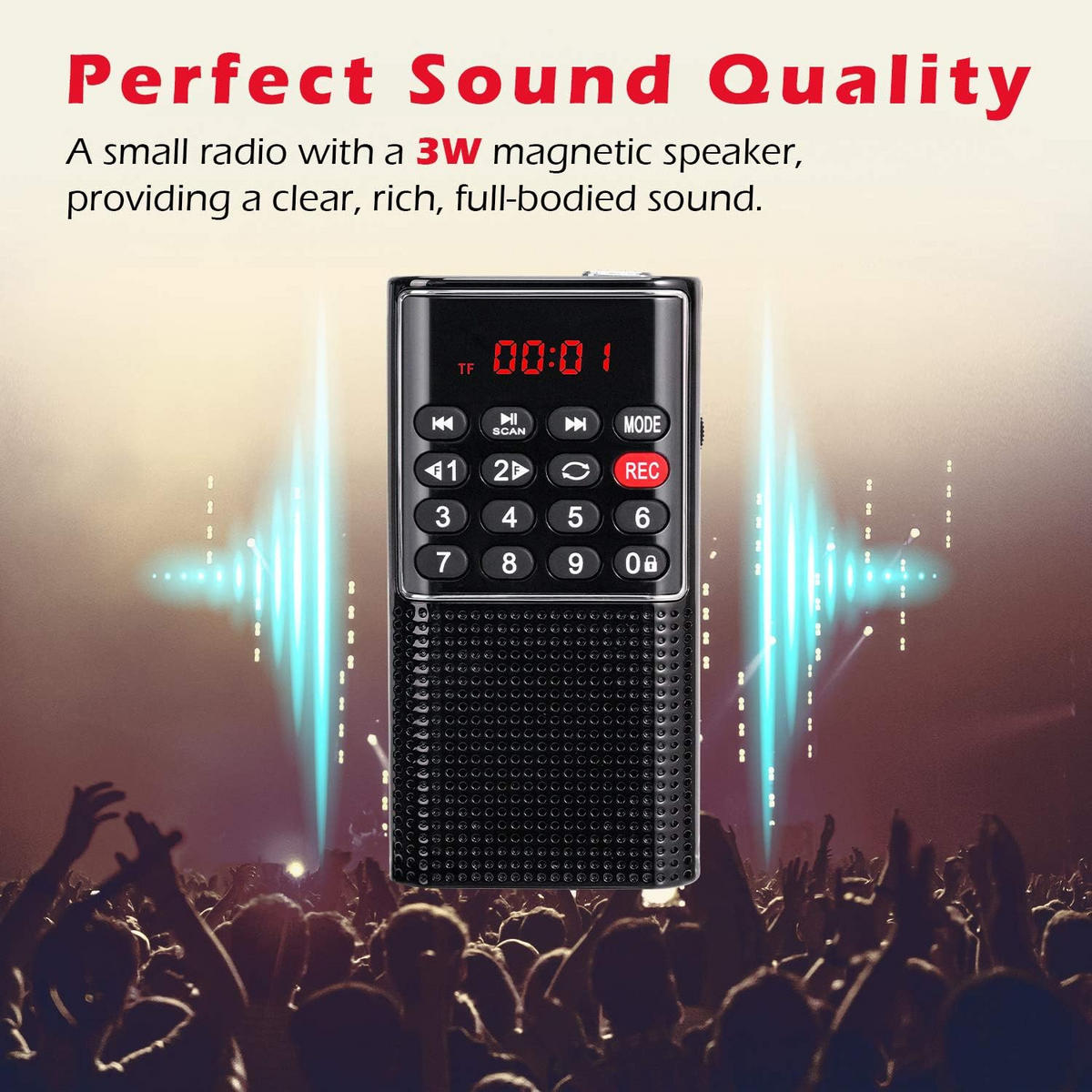 RADIO – Aufnahmefunktion – Schwarz - Schwarz, Kunststoff (10/6.1/2.54cm) - DCA