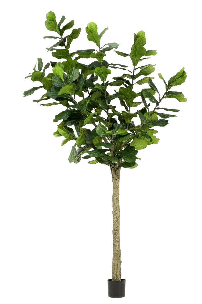 KUNSTBAUM Künstlicher Ficus lyrata - Sandra 300 cm - Grün, Kunststoff (300cm) - Emerald