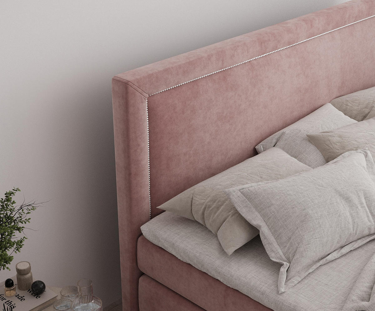 BOXSPRINGBETT Lavenda Rosa 160/200 cm - Schwarz/Rosa, Holz/Holzwerkstoff (160/200cm) - Maison de Reve