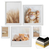 WANDBILDER 5er-Set - 50x50 cm & 20x30 cm & 40x60 cm Weißer Rahmen - Niedliche Tiere, Katzen, Hunde, Strand - Weiß, Kunststoff (40/60cm) - ArtPrintCave