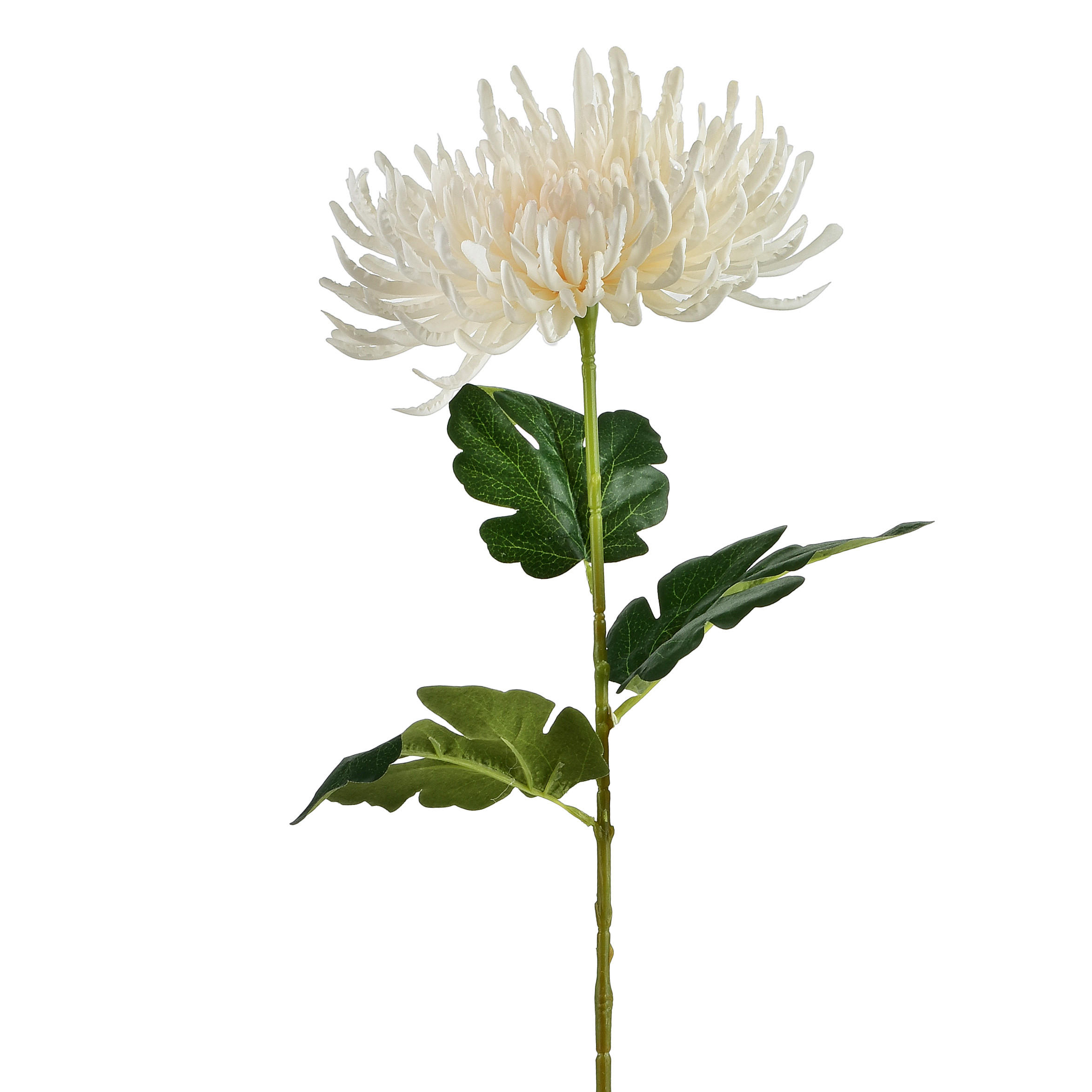 UMELÝ KVET VIRIDIS Chryzantéma plast - krémová, plast (70cm) - Mondex
