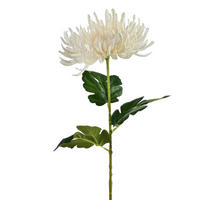 UMĚLÁ KVĚTINA VIRIDIS, plast - krémová, plast (70cm) - Mondex