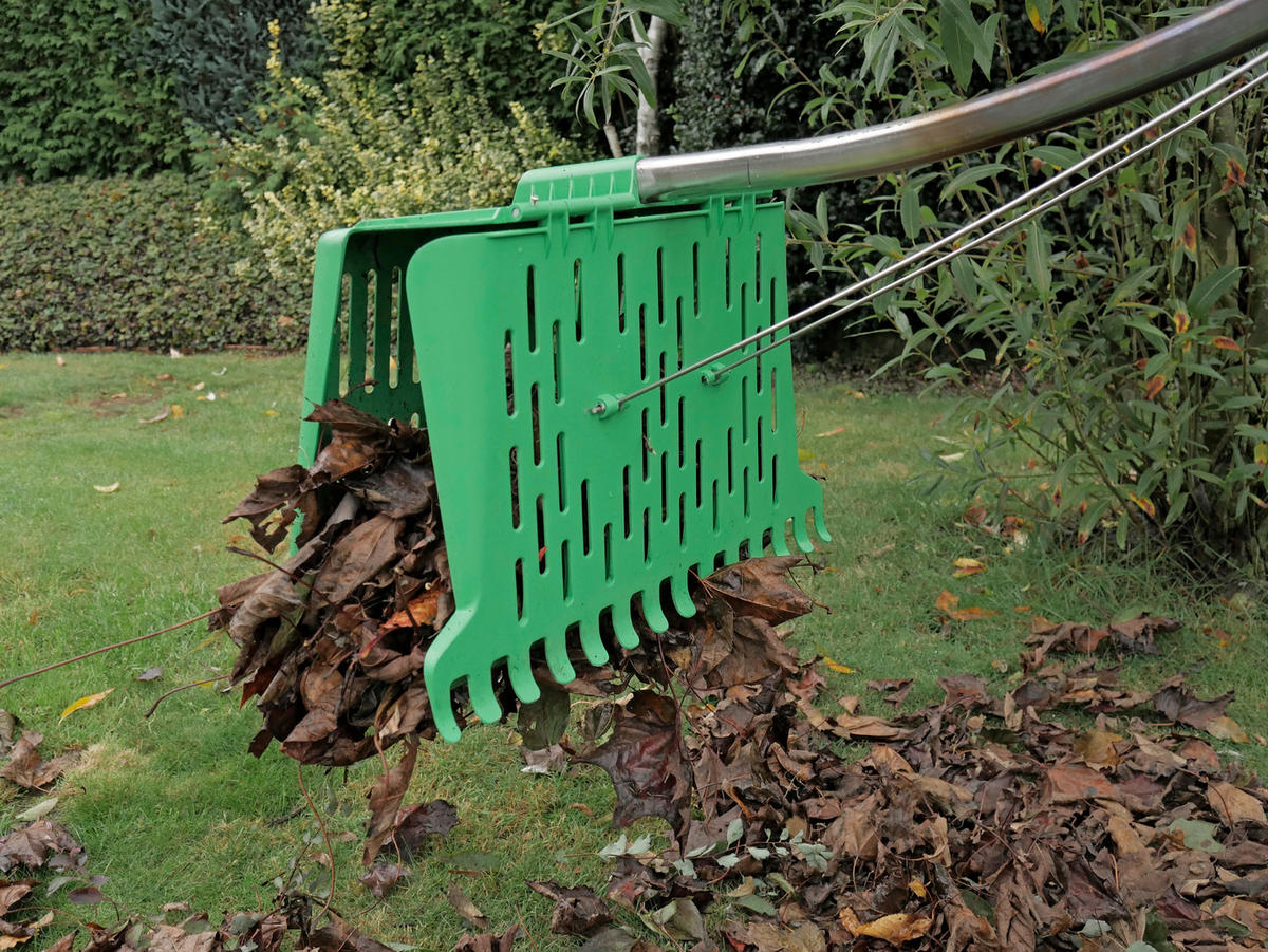 LAUBBESEN Phiip Grün 152x53x15cm - Grün, Kunststoff (53/152/15cm) - DELUKE
