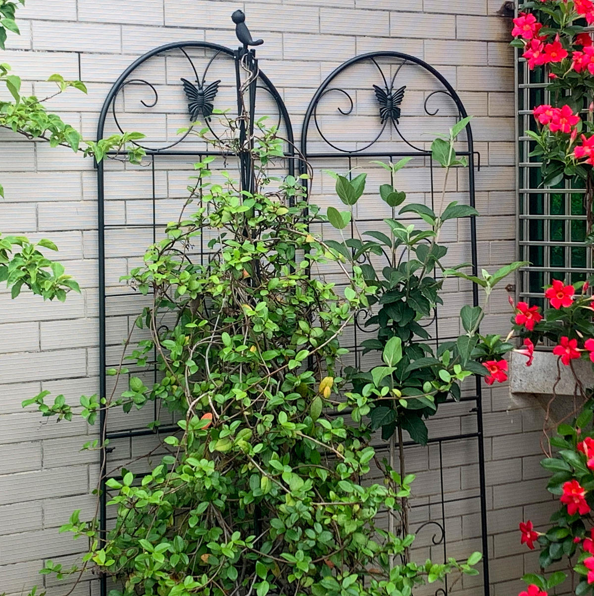 BLUMENKASTENHALTER aus Metall 50x180cm in Schwarz - Schwarz, Metall (50/180/50cm) - Modfu