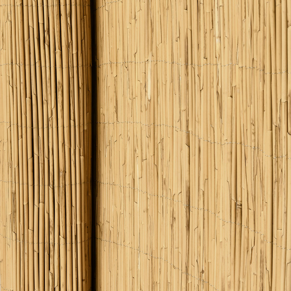 SICHTSCHUTZZAUN SolVision S36 180/600 cm Schilf - Naturfarben, Kunststoff (600/180cm) - Sol Royal