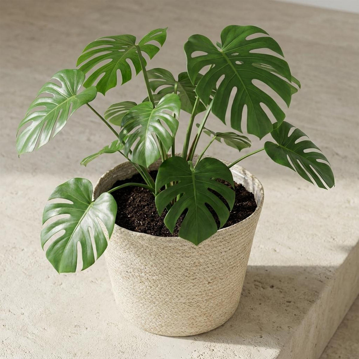 PFLANZENTOPF Selin Ø26cm Höhe 23cm - Naturfarben, Naturmaterialien (26/23cm) - MEERGroothandel