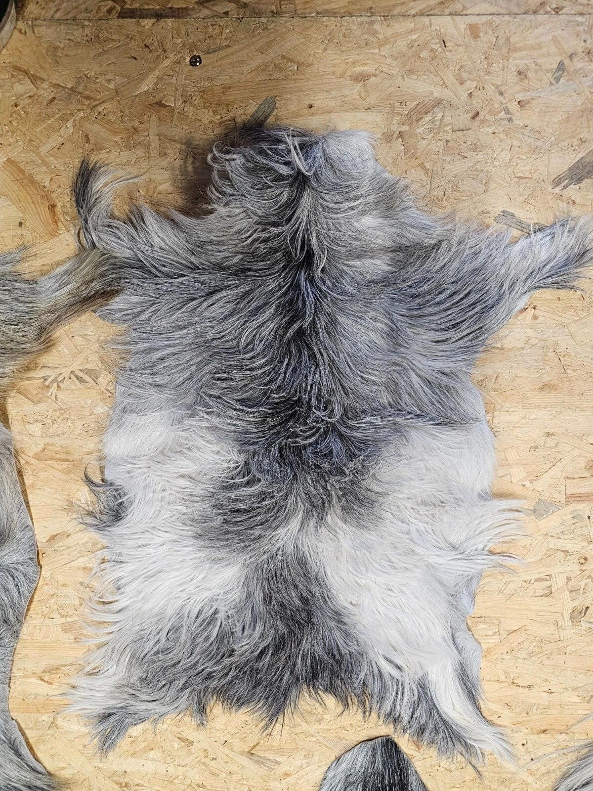 FELL Ziegenfell Graulich Naturfarben Teppich ca. 90 cm 1.Wahl - Dunkelgrau/Grau, Fell (50/90cm) - Provellus