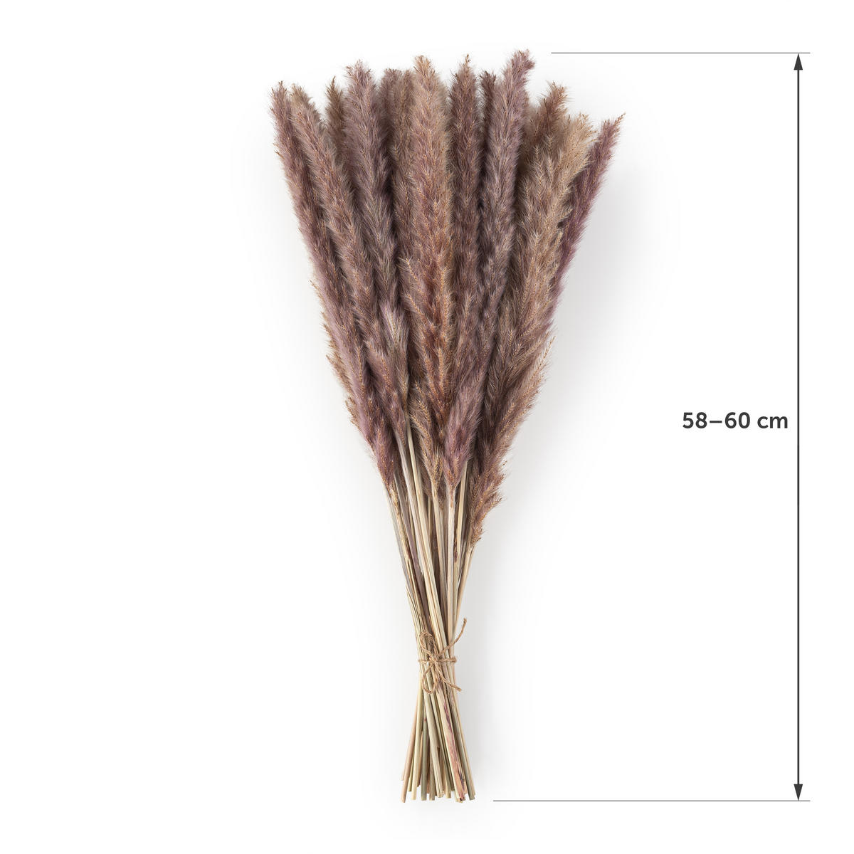 TROCKENBLUMEN - 30 Stück, 60 cm, für Trockenblumenstrauß oder Trockenblumen Deko, naturbraun - Braun, Naturmaterialien (60cm) - Blumtal