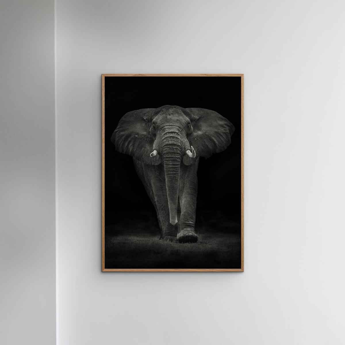 POSTER mit Rahmen Mario Moreno - Ngorongoro Bull - Dunkelgrau/Eichefarben, Holz/Papier (50/70cm) - Poster&Frame