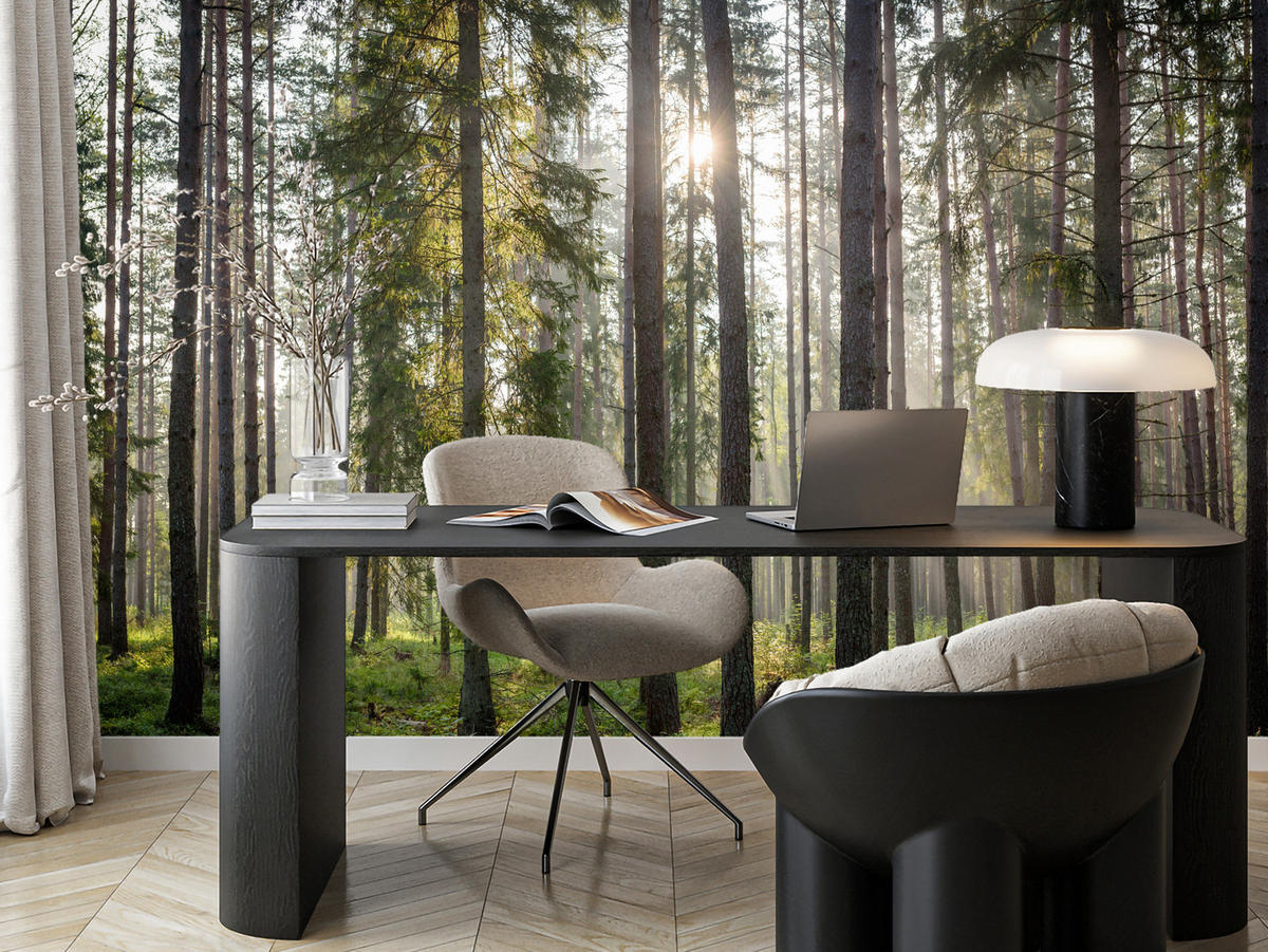 FOTOTAPETA Pre Obývaciu Izbu LES Východ Slnka Mach Stromy Zelená 150 x 105 cm - hnedá/sivá, papier (150/105cm) - Muralo