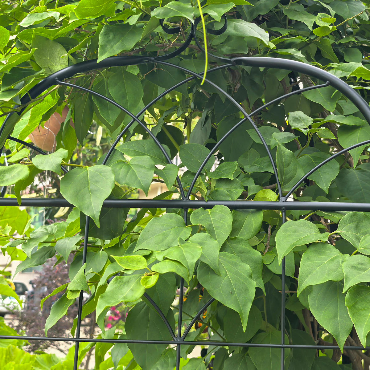 BLUMENKASTENHALTER aus Metall 50x180cm in Schwarz - Schwarz, Metall (50/180/50cm) - Modfu